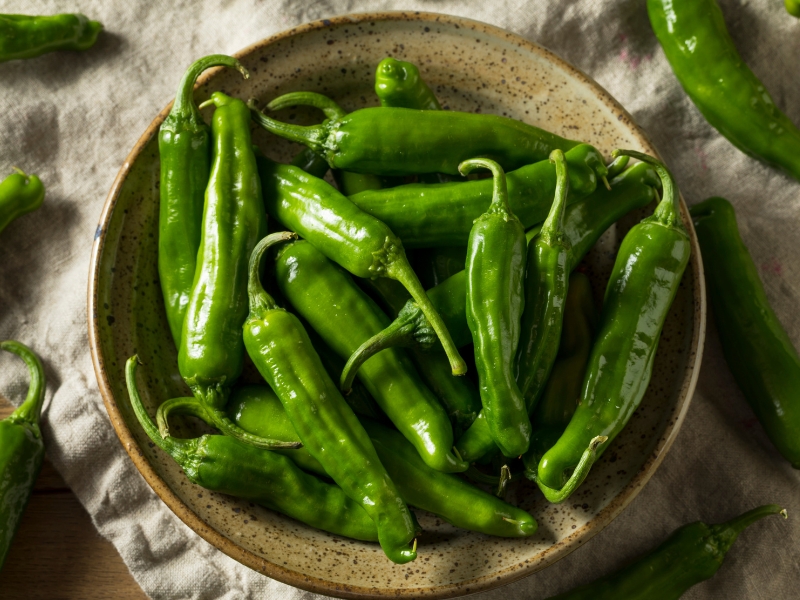 Shishito Peppers (Japanese Green Pepper) in a Japanese Bowl