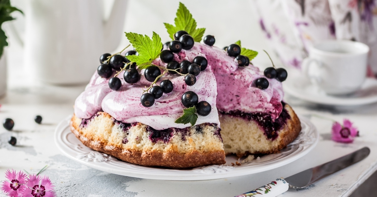 apple and blackcurrant cake | foodgawker