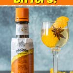 What Are Bitters?