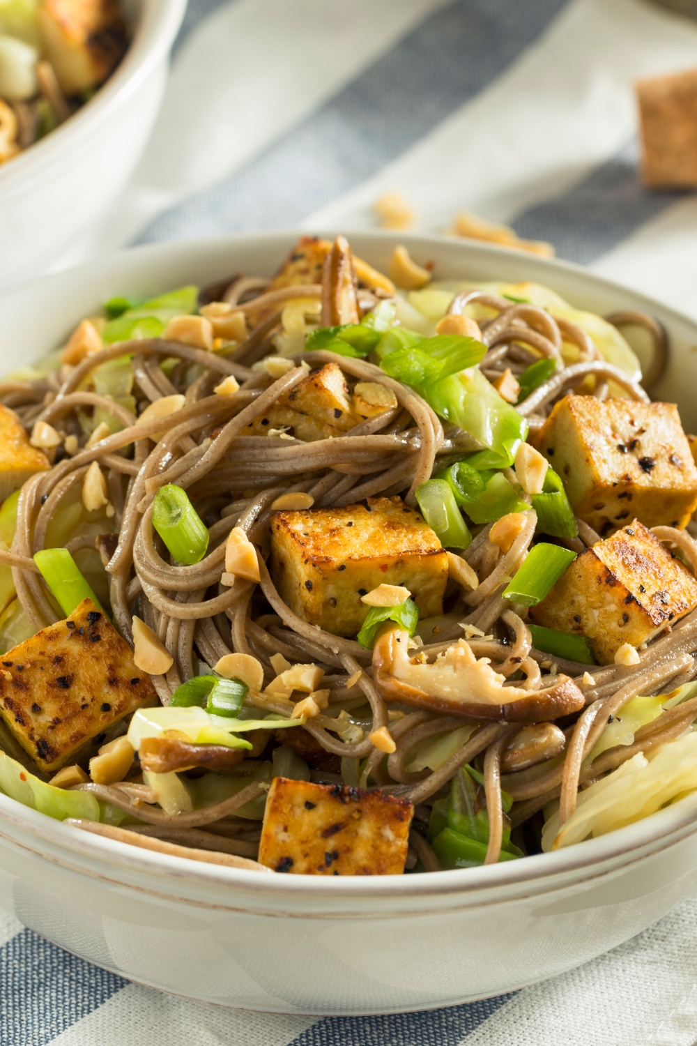 Asian Tofu Soba Noodle Bowls with Green Onions