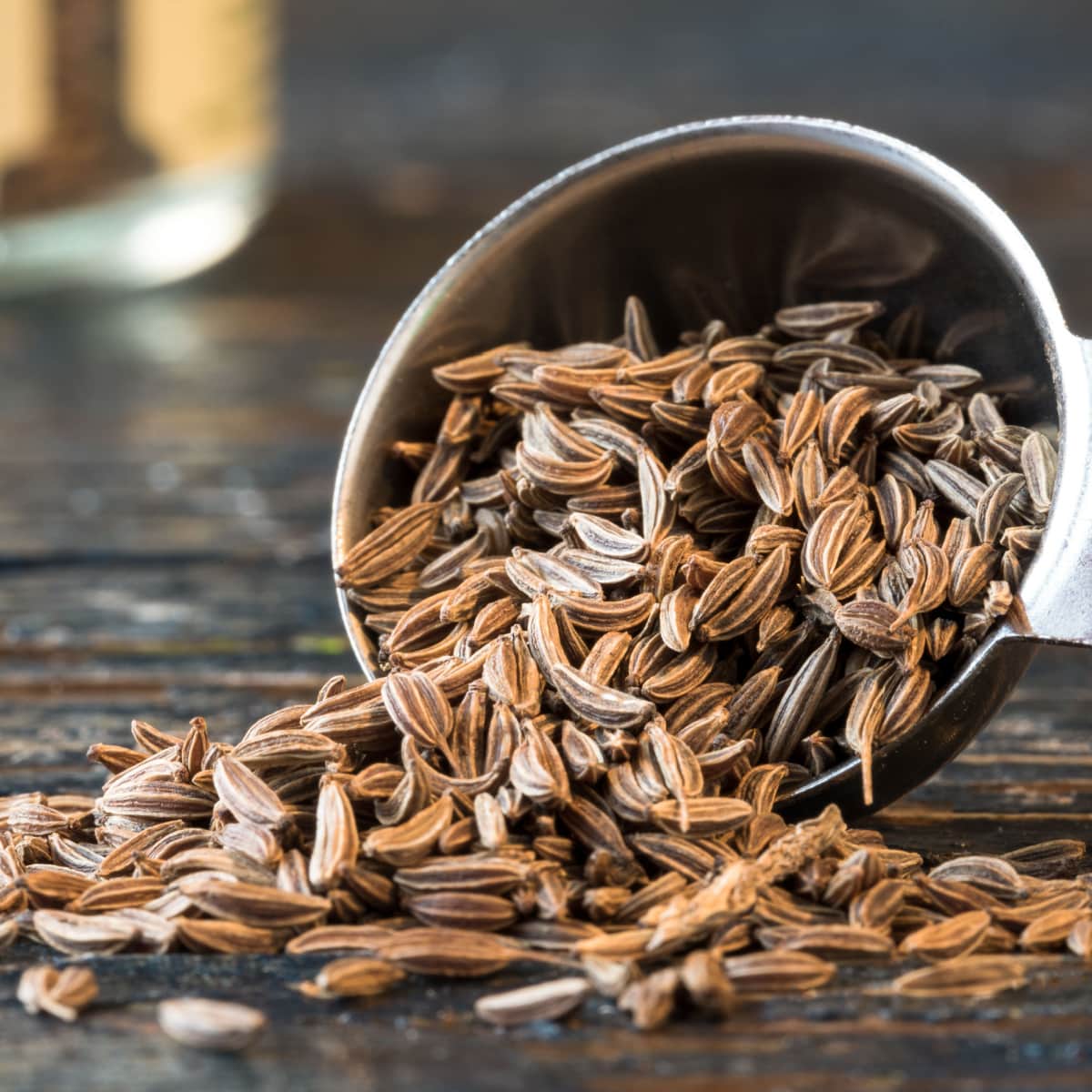 10 Substitutes for Fennel Seeds (Best Replacements) Insanely Good