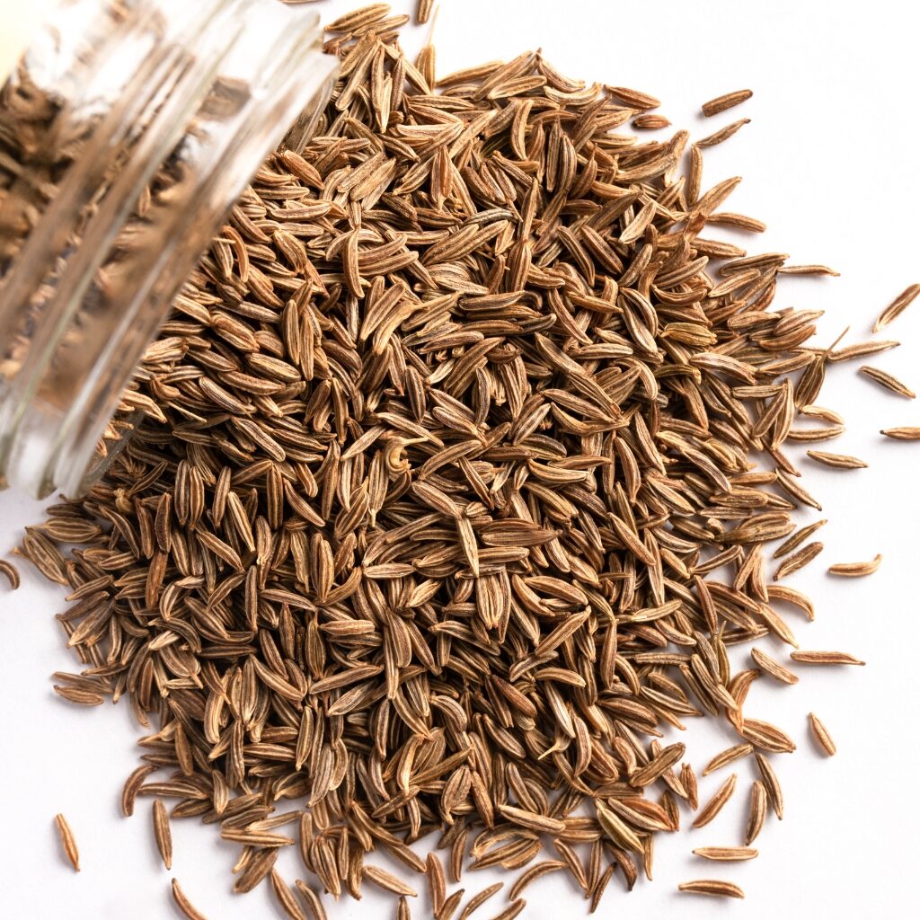 Caraway Seeds Spilled from Spice Jar