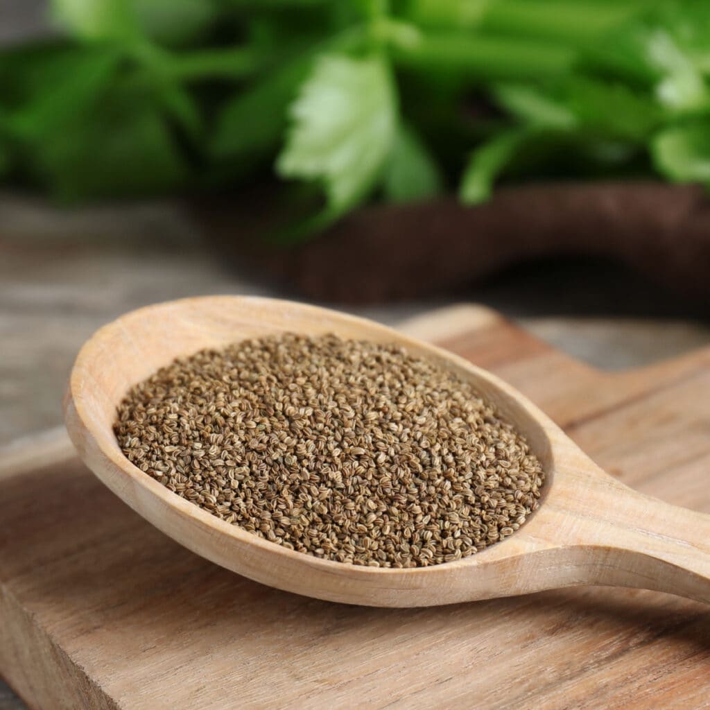 Wooden Spoon Filled With Celery Seeds