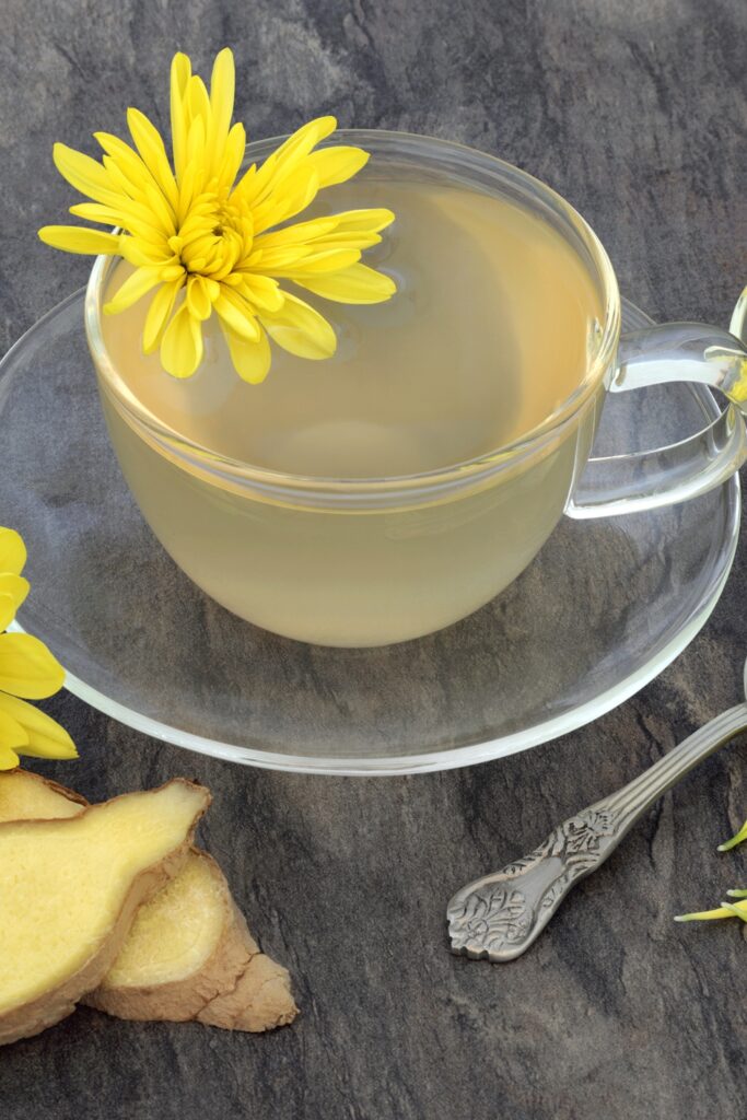 Chrysanthemum-Tea-in-a-Cup