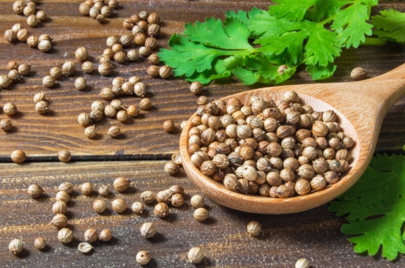 The Best Substitute for Coriander