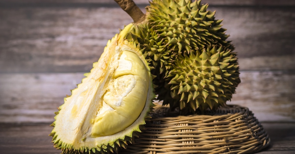 Exotic and Organic Durian Fruit