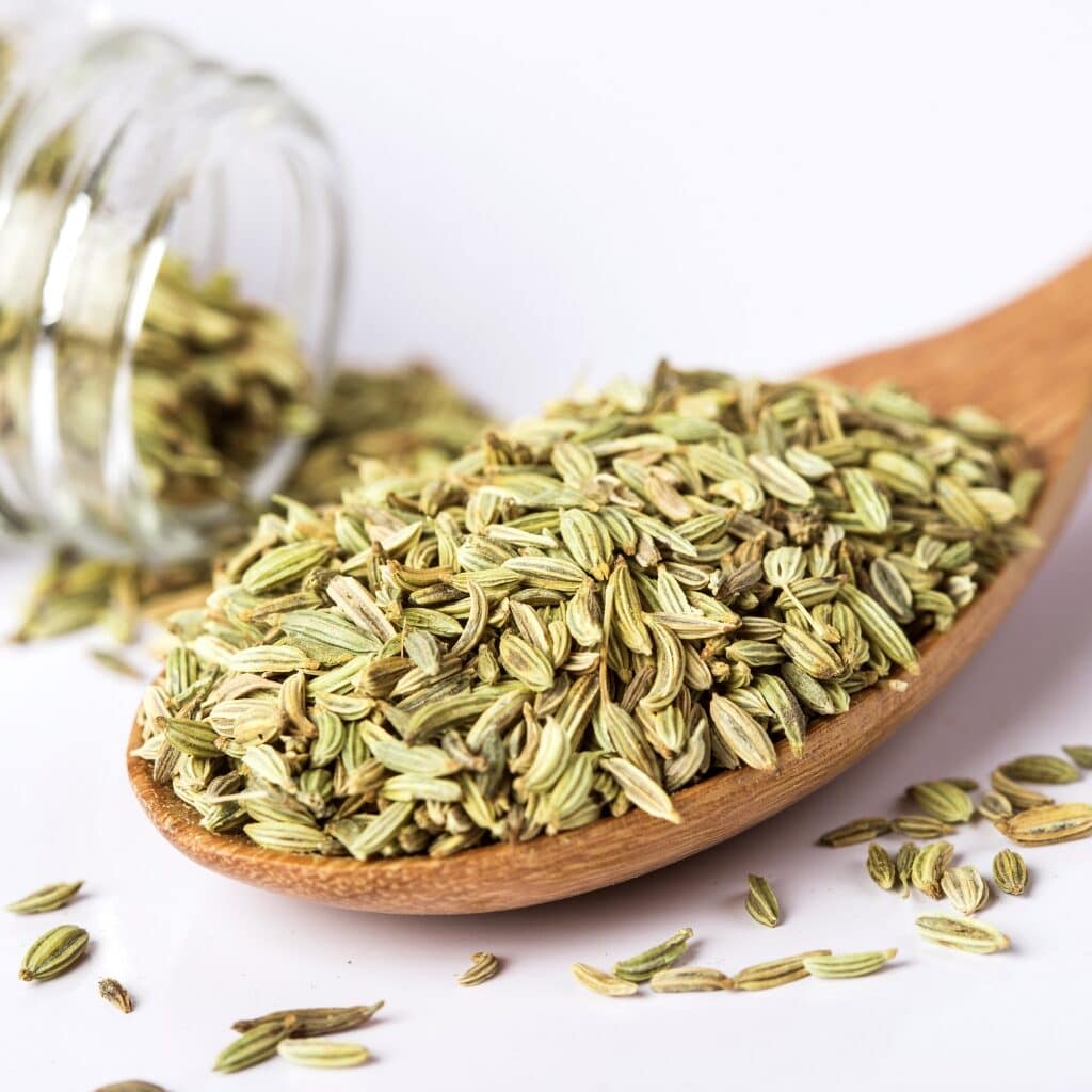 Fennel Seed on a Wooden Spoon and Glass Jar