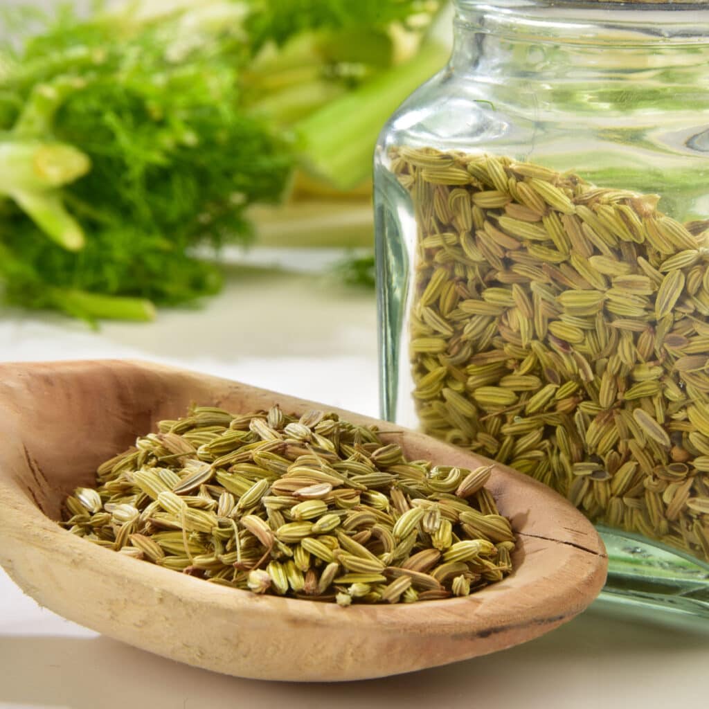Fennel Seeds on a Wooden Spoon and Glass Jar
