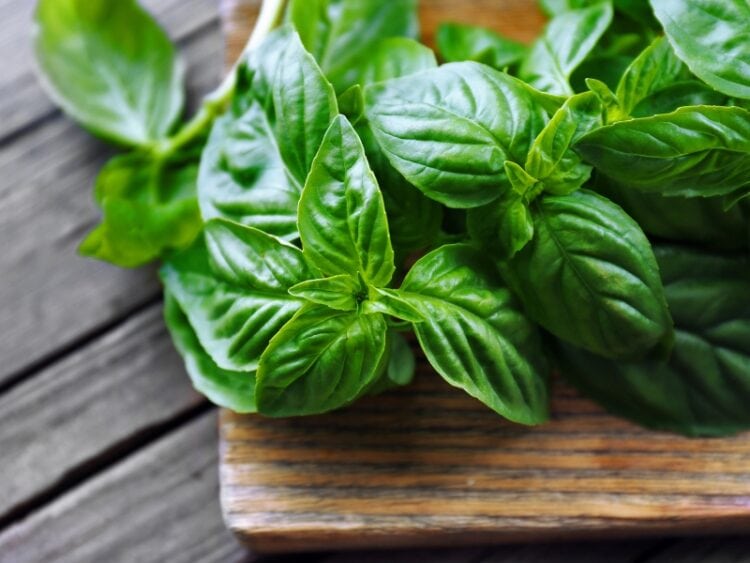 10 Substitutes for Basil (Best Options) - Insanely Good