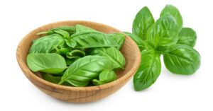 Fresh Basil Leaves in a Wooden Bowl