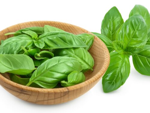 10 Substitutes for Basil Best Options