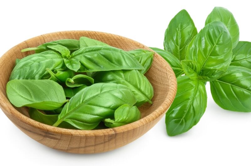 10 Substitutes for Basil (Best Options)