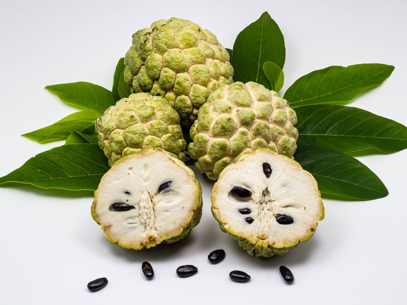 Atis Filipino Fruit