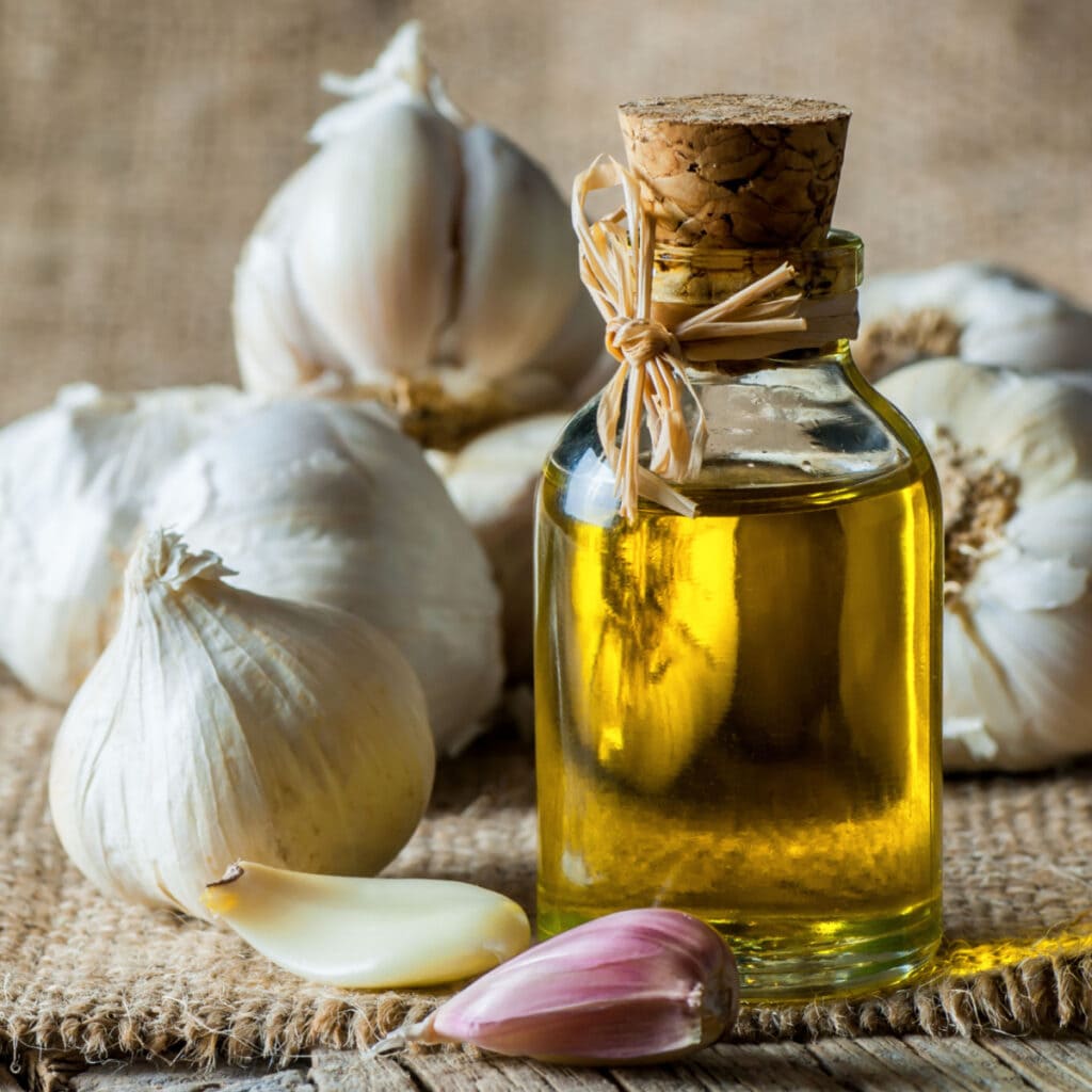 Small Bottle of Garlic Oil