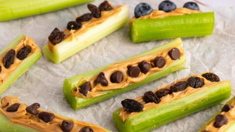 Homemade Ants on a Log with Peanut Butter, Chocolate Chips, Blueberries and Raisins