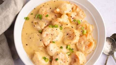 Homemade Creamy Shrimp Newburg with Sherry Wine in a White Bowl