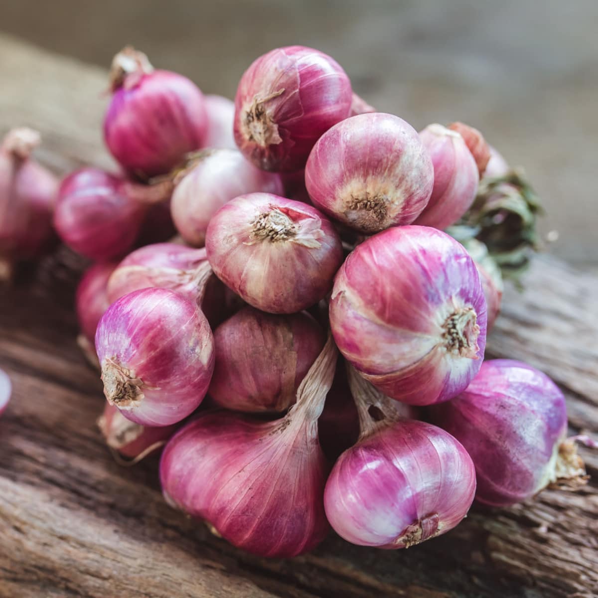 10 Best Substitutes for Garlic Insanely Good