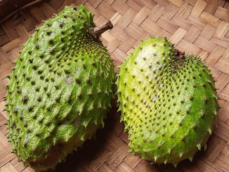Two Soursop in a Bamboo Tray