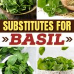 Substitutes for Basil