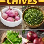 Substitutes for Chives