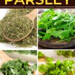 Substitutes for Parsley