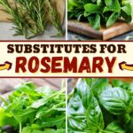 Substitutes for Rosemary