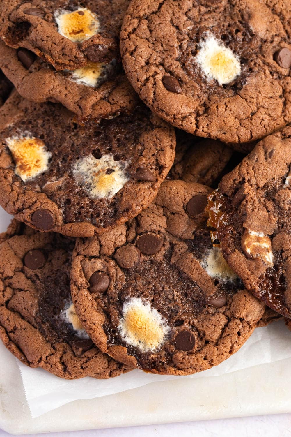 Sweet Homemade Hot Chocolate Cookies with Marshmallows and Chocolate Chips