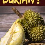 What Is Durian?