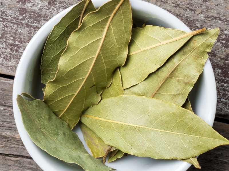 Bay Leaves on a White Bowl
