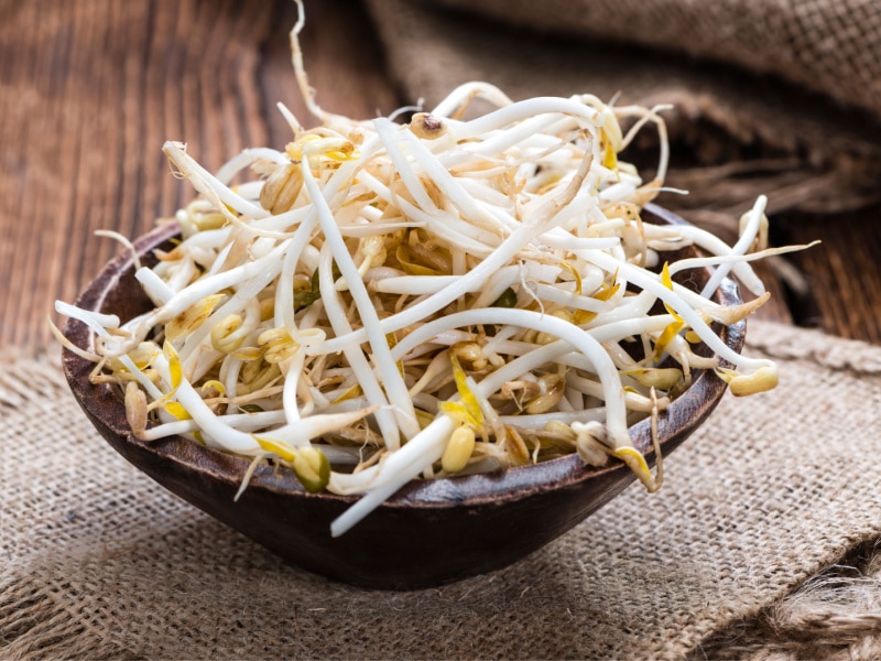 A Bowl of Bean Sprouts