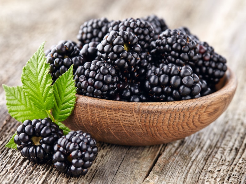 Small Bowl of Blackberries with A Mint Leaf