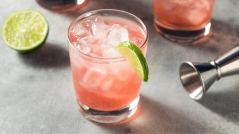 Boozy Refreshing Vodka Cranberry Punch with Lime