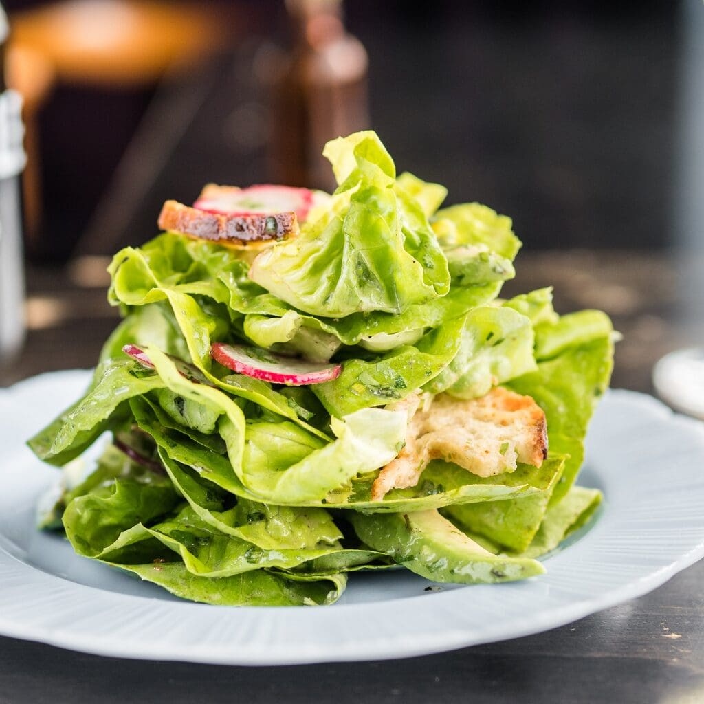 Butter Lettuce Salad with Croutons and Radish