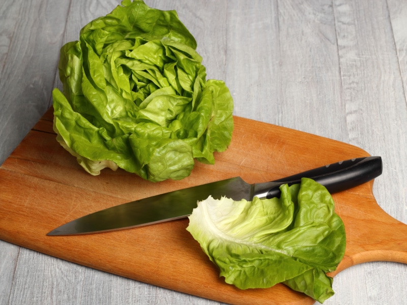 Fresh Butter Lettuce on Chopping Board With Knife