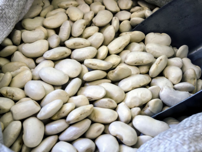 Gigante Beans in a Sack with Scooper