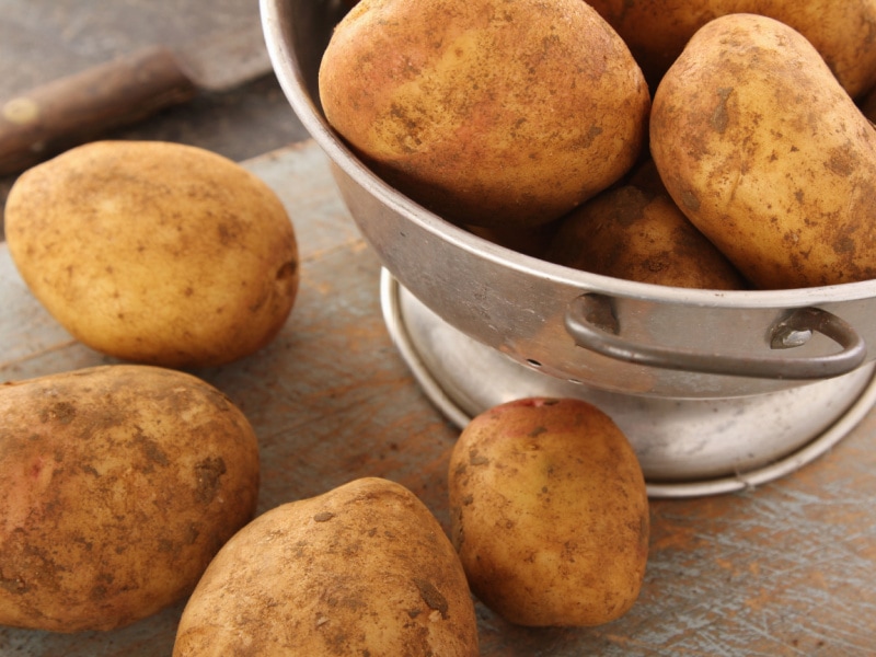 Bunch of King Edward Potatoes in a Metal Colander