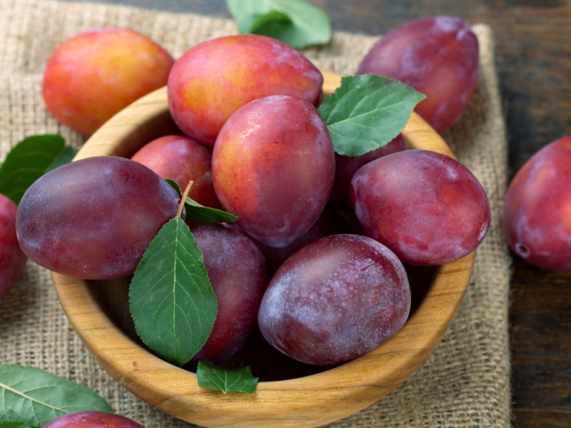 Bunch of Ripe Plums with Leaves in a Wooden Bowl