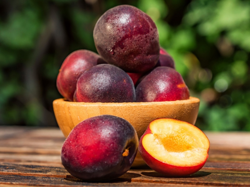Pluots in a Wooden Bowl