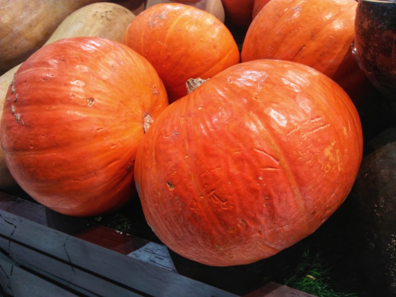 Red Kabocha Squash in a Wooden Crate