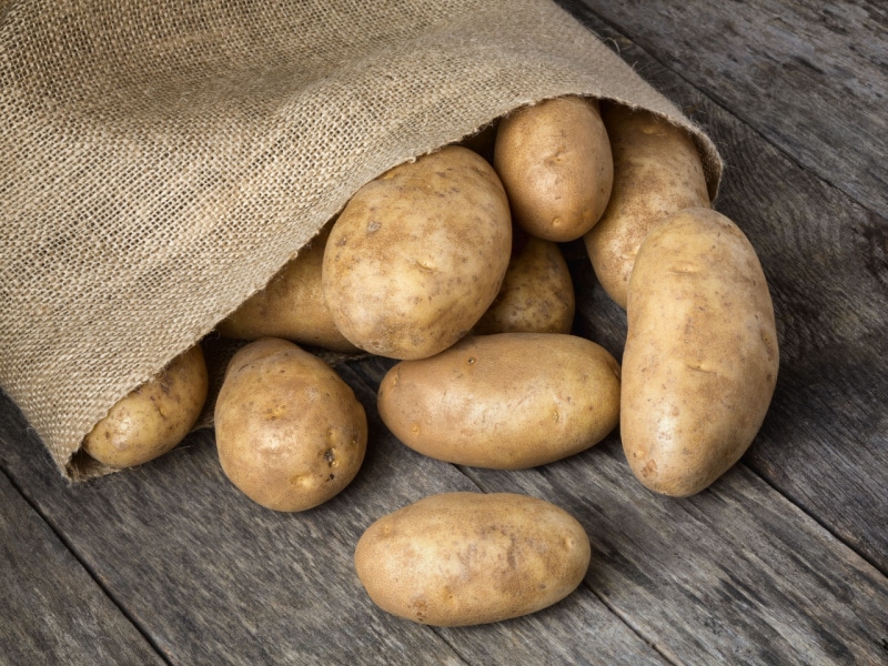 Bunch of Russet Potatoes in a Rustic Burlap Bag