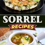 Sorrel Recipes