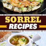 Sorrel Recipes