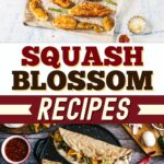 Squash Blossom Recipes