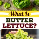 What Is Butter Lettuce?