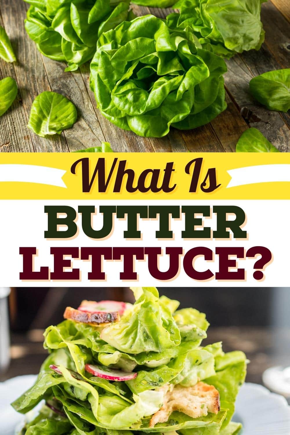 What Is Butter Lettuce?