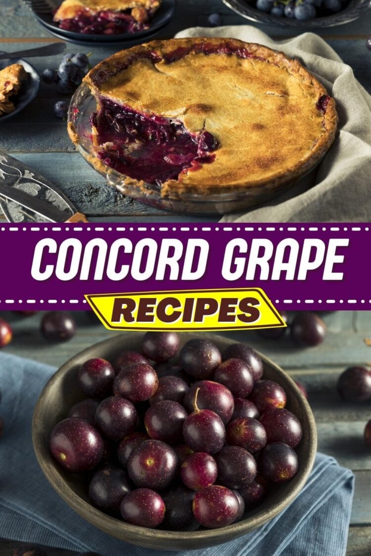 15 Best Concord Grape Recipes - Insanely Good