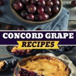 Concord Grape Recipes