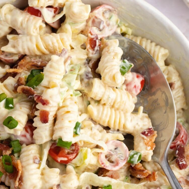 BLT Pasta Salad (Easy Recipe) - Insanely Good