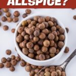 What is Allspice?