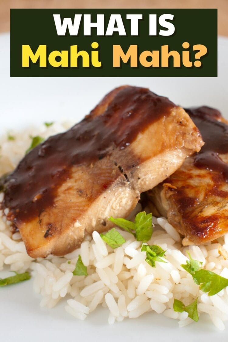What Is Mahi Mahi? (+ How to Cook It) Insanely Good